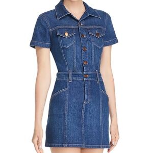 Alice + Olivia Amazing Denim Mini Dress
